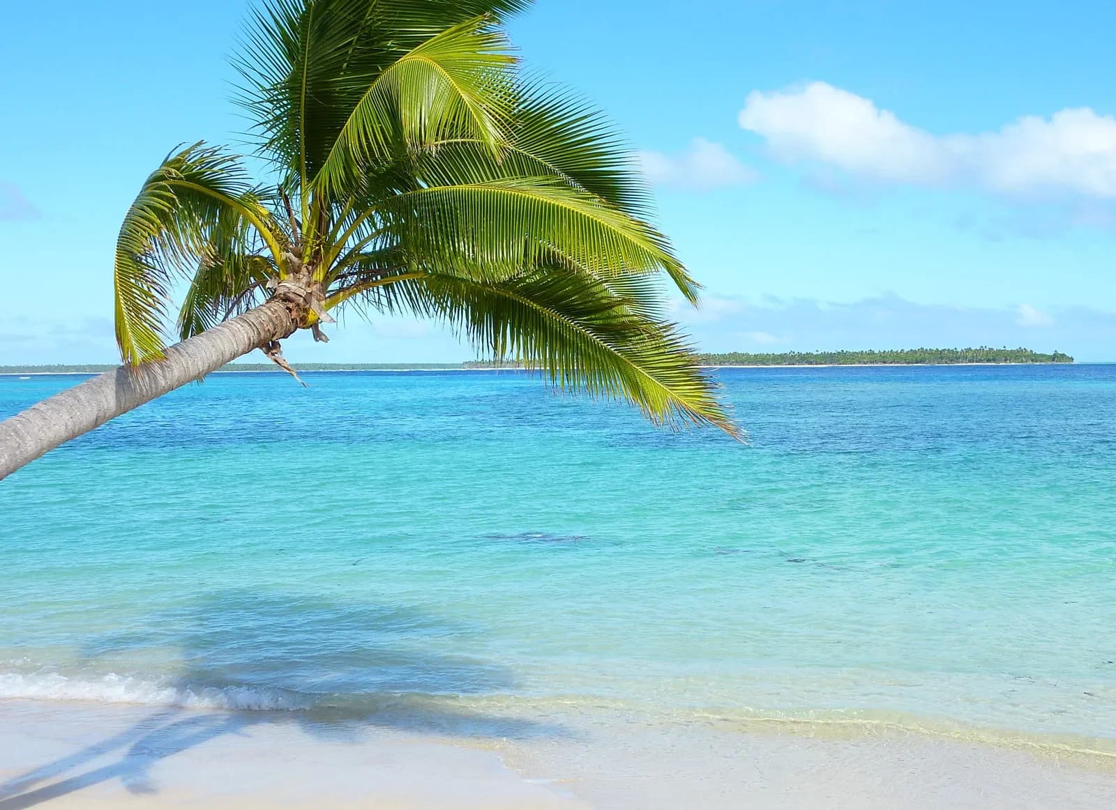 Beach in the Ha'apai island group, Tonga